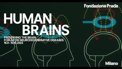 prada human brains|Human Brains.